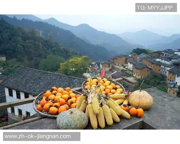 足球上农批助力乡村振兴打造新型农村经济发展模式与体育文化融合之路